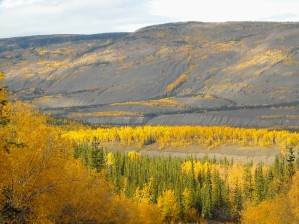 Ross River YT